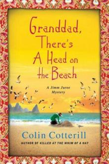 Grandad, Thereэ's head on the beach jj-2