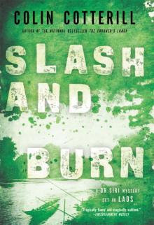 Slash and Burn dsp-8