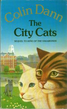 The City Cats The City Cats