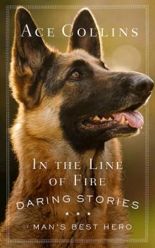 In the Line of Fire In the Line of Fire