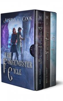 The Forgemaster Cycle Trilogy