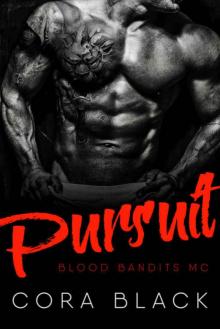 Pursuit: Blood Bandits MC