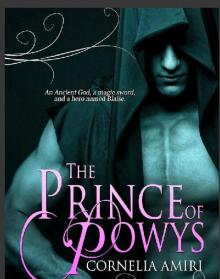 The Prince of Powys