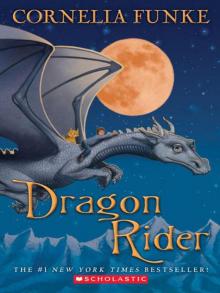 Dragon Rider Dragon Rider