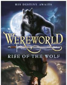 Rise of the Wolf