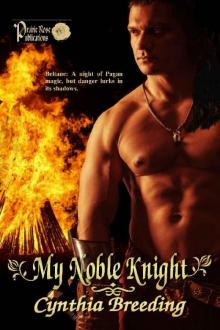 My Noble Knight My Noble Knight