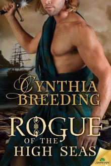 Rogue of the High Seas Rogue of the High Seas