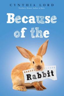 Because of the Rabbit