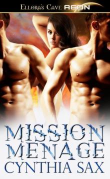 MissionMenage