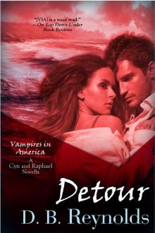 Detour: A Cyn & Raphael Novella