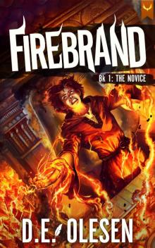 Firebrand: The Novice: A LitRPG Adventure