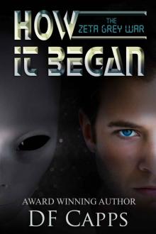 The Zeta Grey War: How it Began