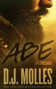Abe: A Remaining Universe Novel Abe: A Remaining Universe Novel