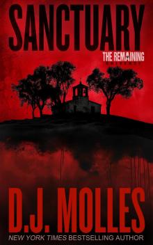 Sanctuary: A Remaining Universe Novel Sanctuary: A Remaining Universe Novel
