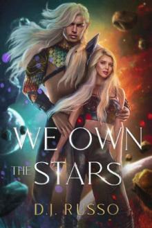 We Own the Stars: A Forbidden Bodyguard Romance