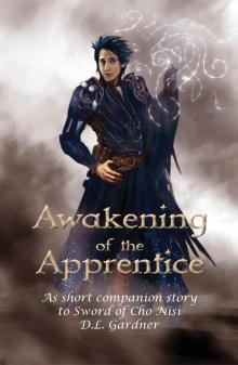 Awakening of the Apprentice Awakening of the Apprentice