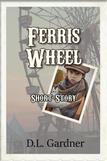 Ferris Wheel Ferris Wheel