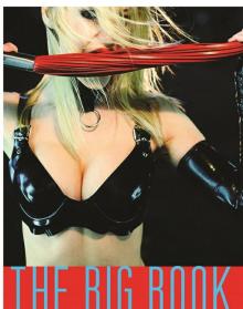 The Big Book of Domination The Big Book of Domination