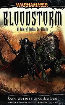 Warhammer - Darkblade 02 - Bloodstorm