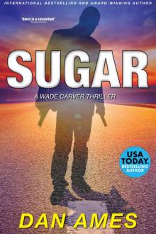SUGAR: A Wade Carver Thriller (Florida Mystery Series) (Volume 2) (The Wade Carver Thrillers)