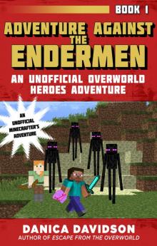 Adventure Against the Endermen Adventure Against the Endermen