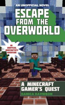 Escape from the Overworld Escape from the Overworld