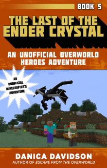 The Last of the Ender Crystal The Last of the Ender Crystal