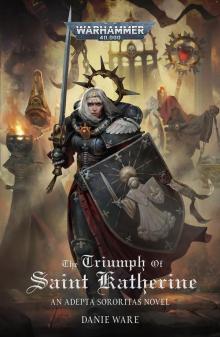 The Triumph Of Saint Katherine
