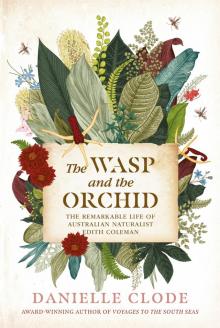 The Wasp and the Orchid The Wasp and the Orchid