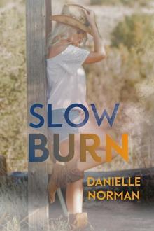 Slow Burn: Iron Horse Series
