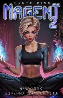 Magent 2: New York Supernatural Division