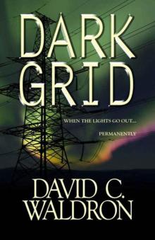 Waldron, David C - Dark Grid 01