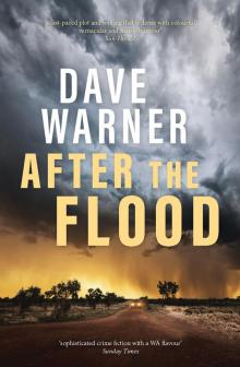 After the Flood After the Flood