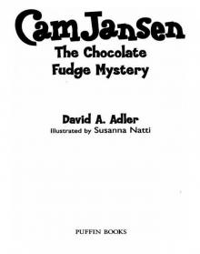 The Chocolate Fudge Mystery