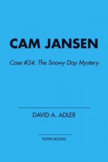 The Snowy Day Mystery The Snowy Day Mystery