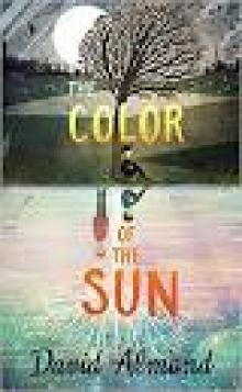 The Color of the Sun The Color of the Sun