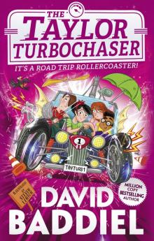 The Taylor TurboChaser The Taylor TurboChaser