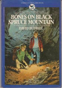 Bones On Black Spruce Mountain