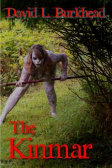 The Kinmar (Knights of Aerioch)