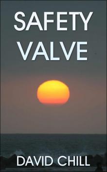 Safety Valve (Burnside Series Book 4)