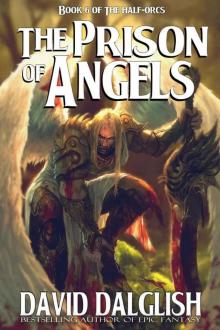 The Prison of Angels h-6 The Prison of Angels h-6