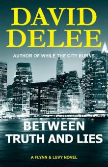 Between Truth and Lies (Flynn & Levy Book 3)