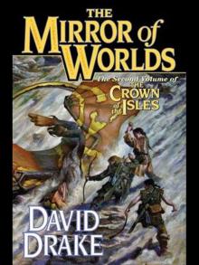 The Mirror of Worlds-ARC The Mirror of Worlds-ARC