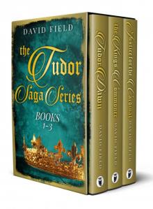 The Tudor Saga Series: Books 1-3