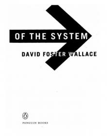 The Broom of the System