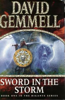 Sword in the Storm Sword in the Storm