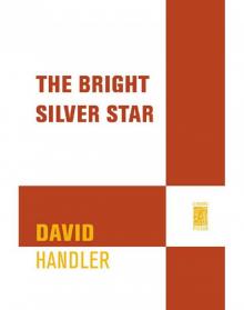 The Bright Silver Star