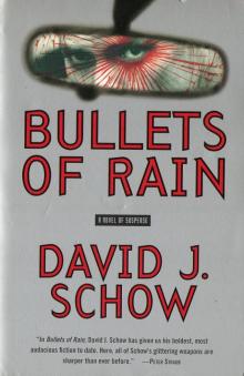 Bullets of Rain