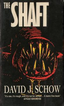 The Shaft