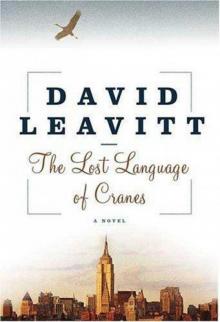 The Lost Language of Cranes: A Novel
